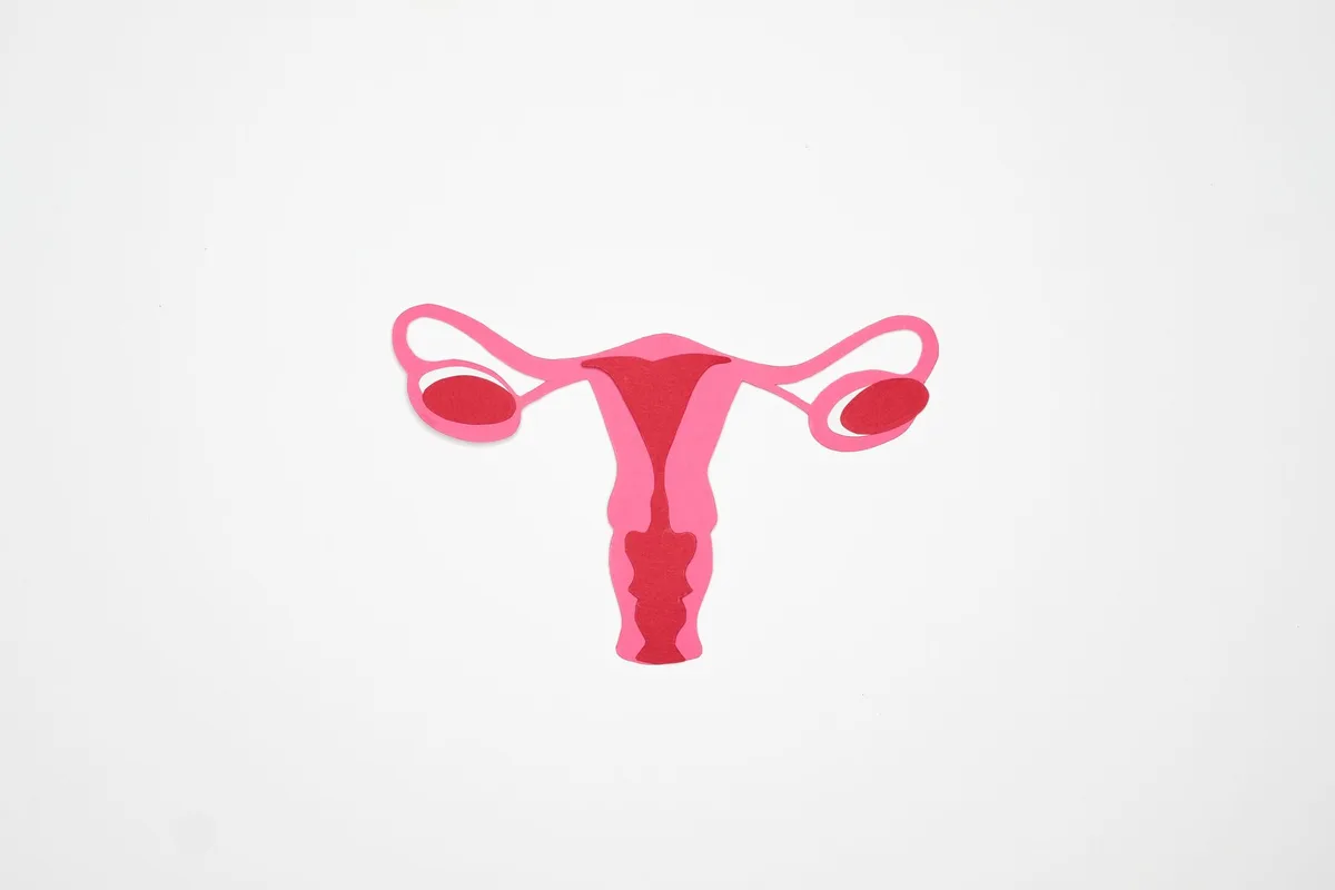 Illustration médicale montrant la thyroïde et le système endocrinien