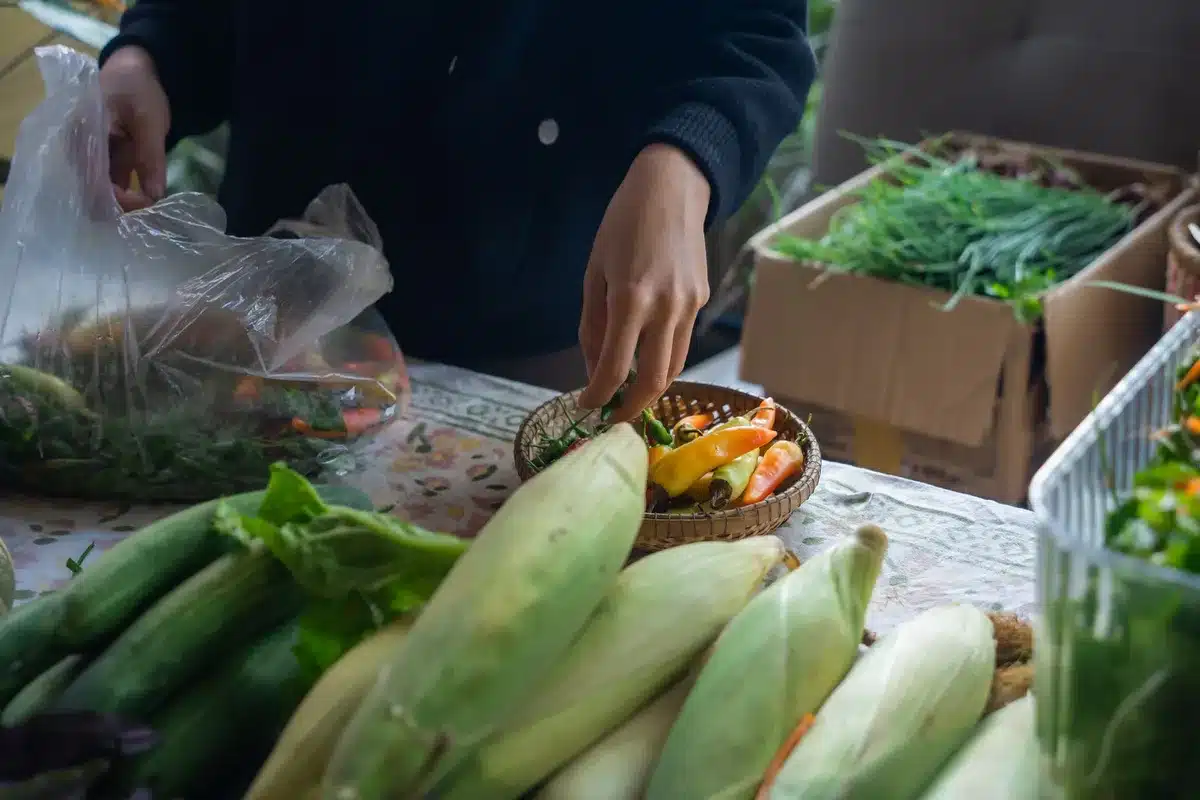 Sélection de légumes frais au marché : carottes, betteraves et autres produits locaux