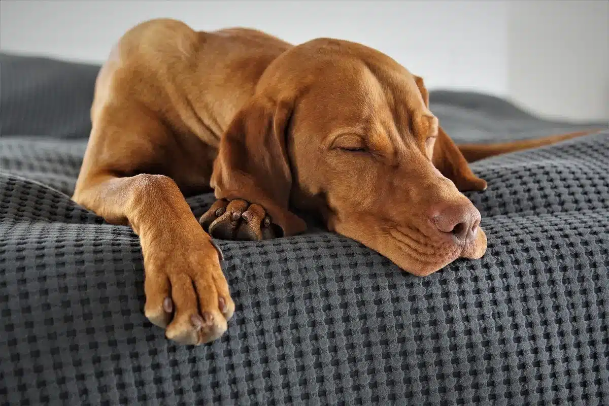 Personne préparant une chambre et une routine de coucher pour un meilleur sommeil