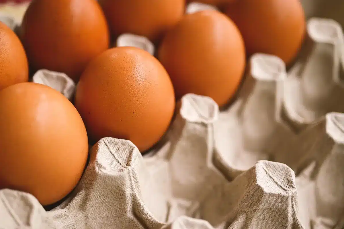 Assiette d'œufs durs montrant la quantité de protéines par portion