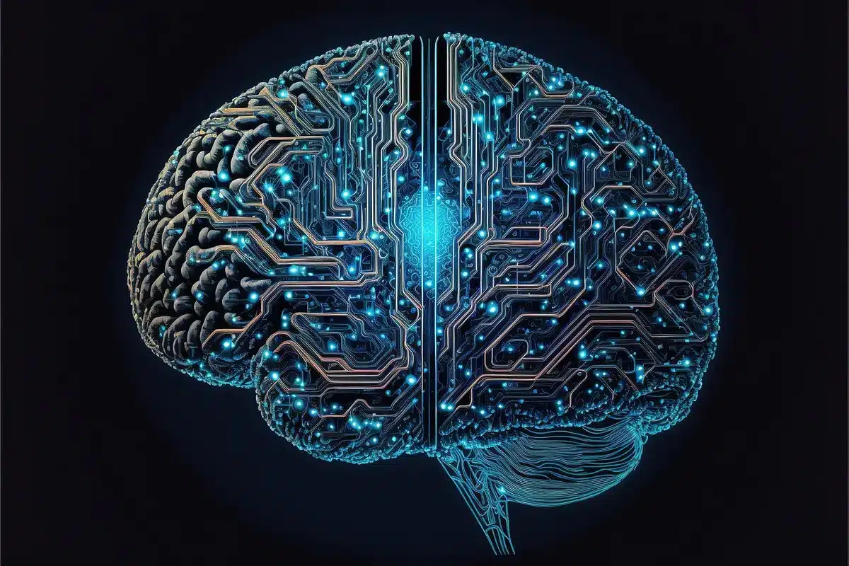 Schéma abstrait du cerveau montrant neurones et métabolisme énergétique