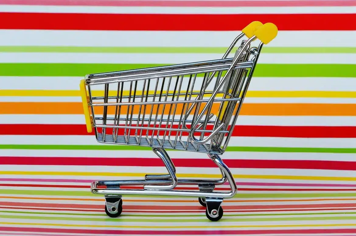 Panier de courses avec briques de lait végétal et main lisant une étiquette