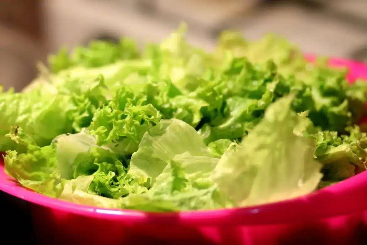 Bol de salade avec graines et poisson flou en cuisine lumineuse