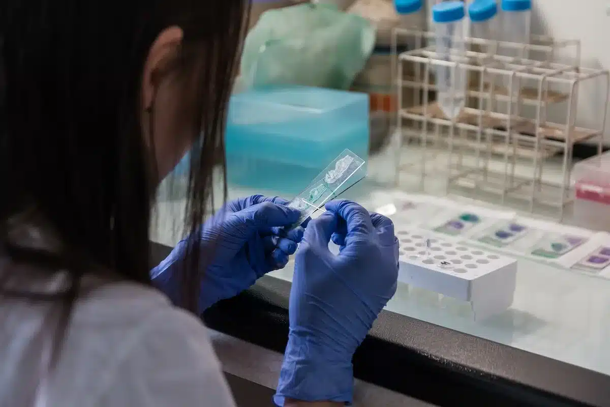 Gants et flacons d'analyses sanguines prêts au laboratoire