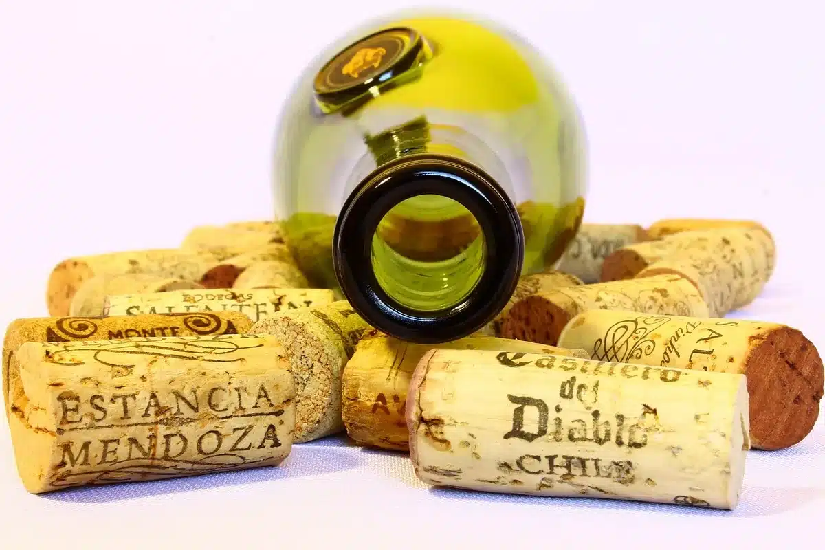 Rayon de cave avec plusieurs bouteilles de champagne alignées