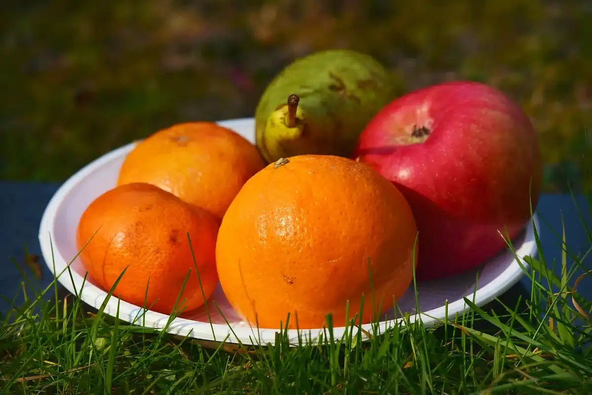 Bol de céréales entières et fruit illustrant la matrice alimentaire